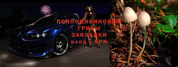 индика Заволжье