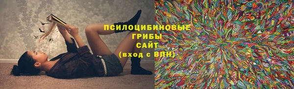 МДПВ Заводоуковск