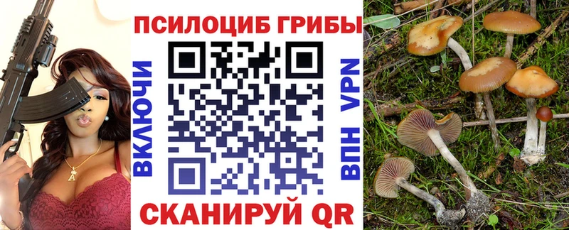 купить  цена  Усть-Катав  Псилоцибиновые грибы MAGIC MUSHROOMS 